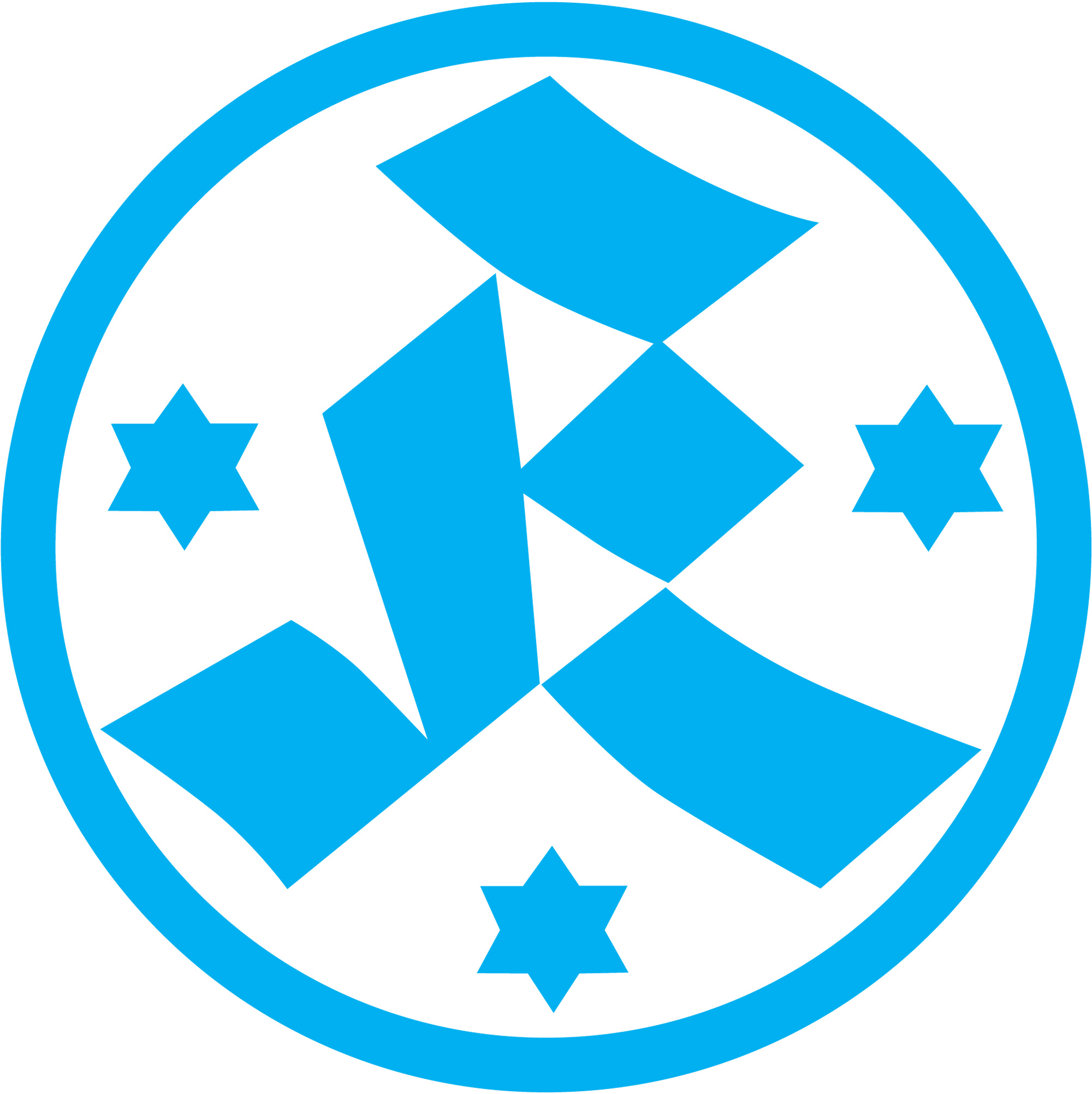 FCU Standard Logo